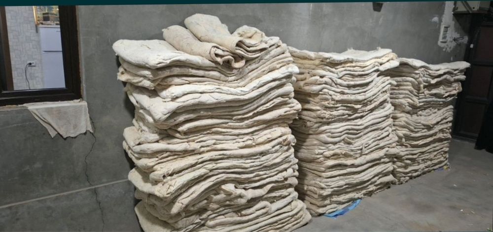 Пахта оламиз Paxta olamiz тошкент буйлаб 24/7