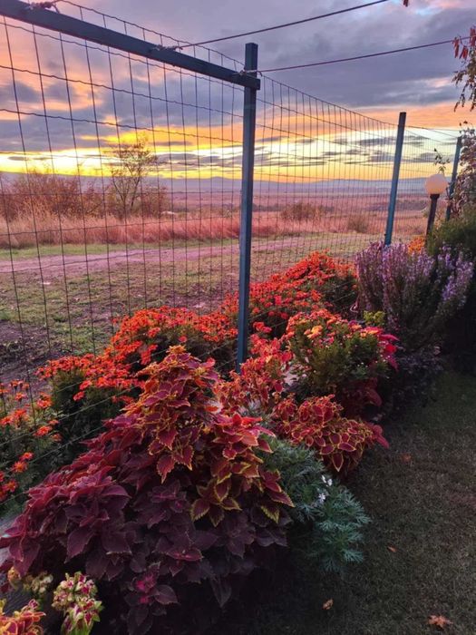 Продава се Едностаен апартамент в с. Кошарица, Област Бургас - 51 кв.м за 470 €/кв.м - Снимка #15