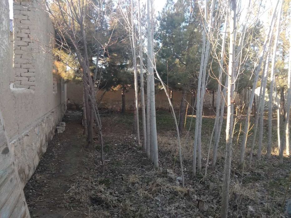 Magistral yo'l ustida, (Durmanda) ideal joy-Tezda sotiladi