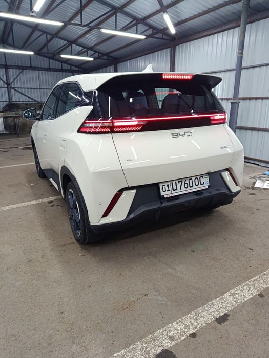 BYD Seagull 2024-25 srochno