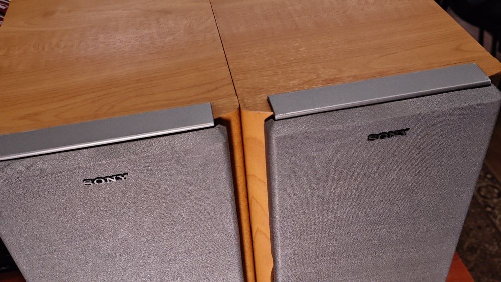 Boxe Sony SS NX1