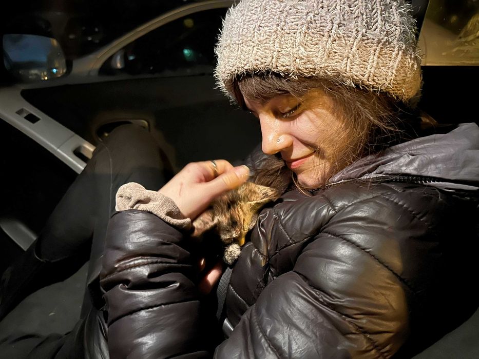 Разхождане на кучета