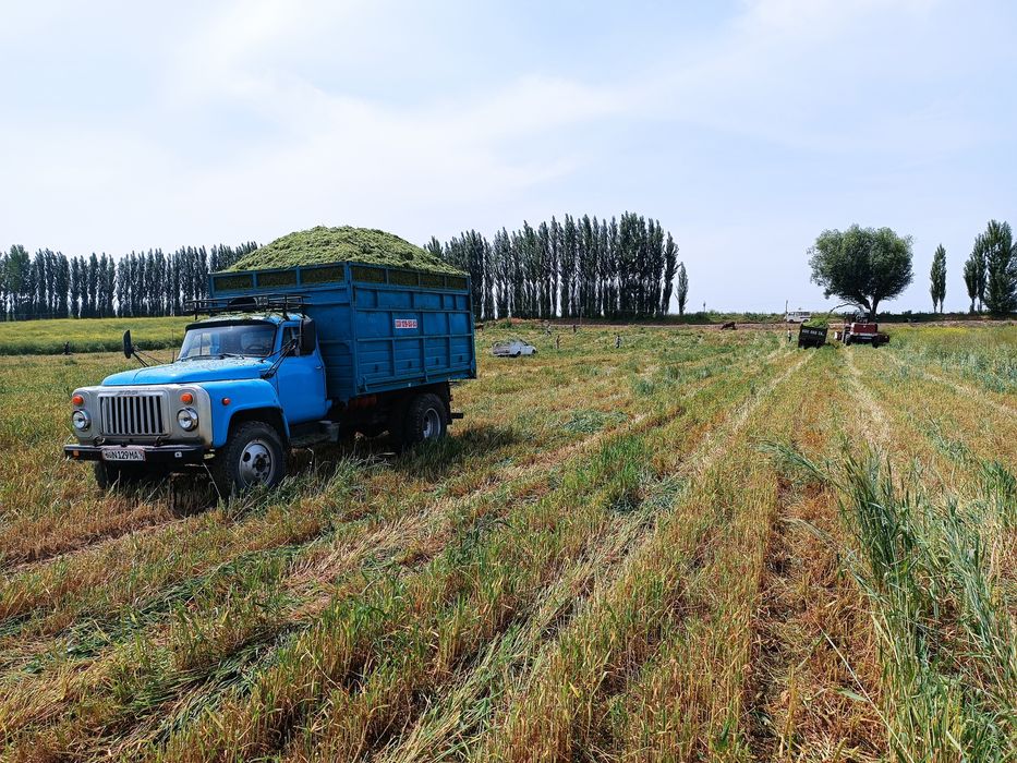 Расхоти йук малумотлар телда