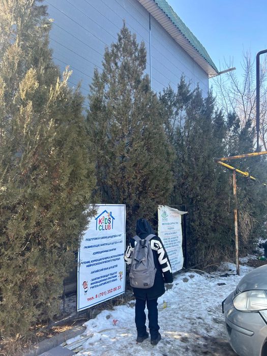 Продам туи высота 4 метра