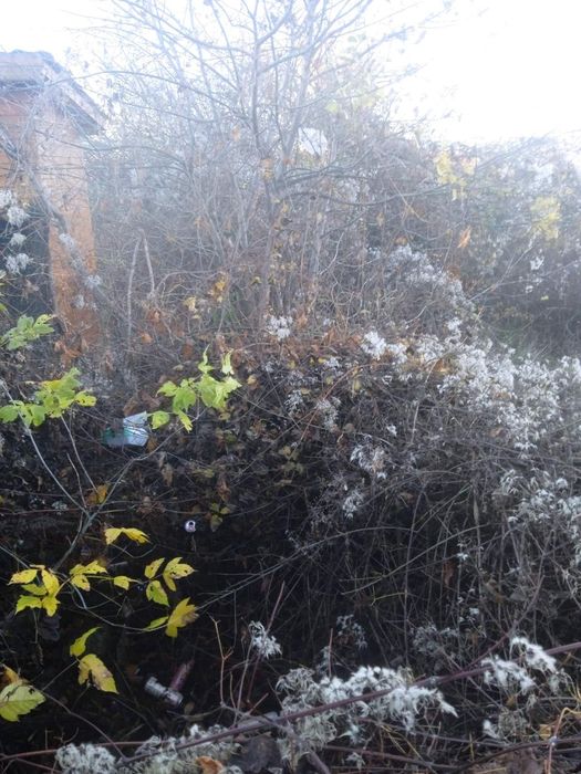 Продава парцел в гр.Сапарева баня