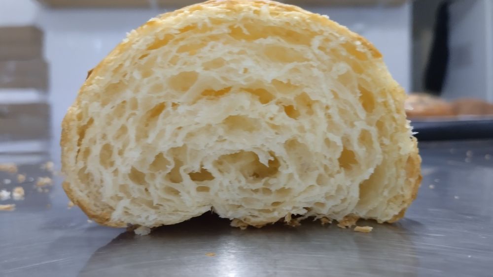 Закваскада нан үйрету курсы