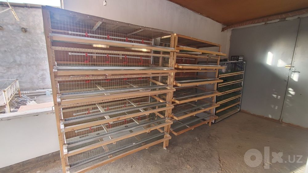 Bedana  kataklar sotiladi