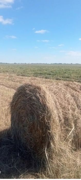 Продам сено солому