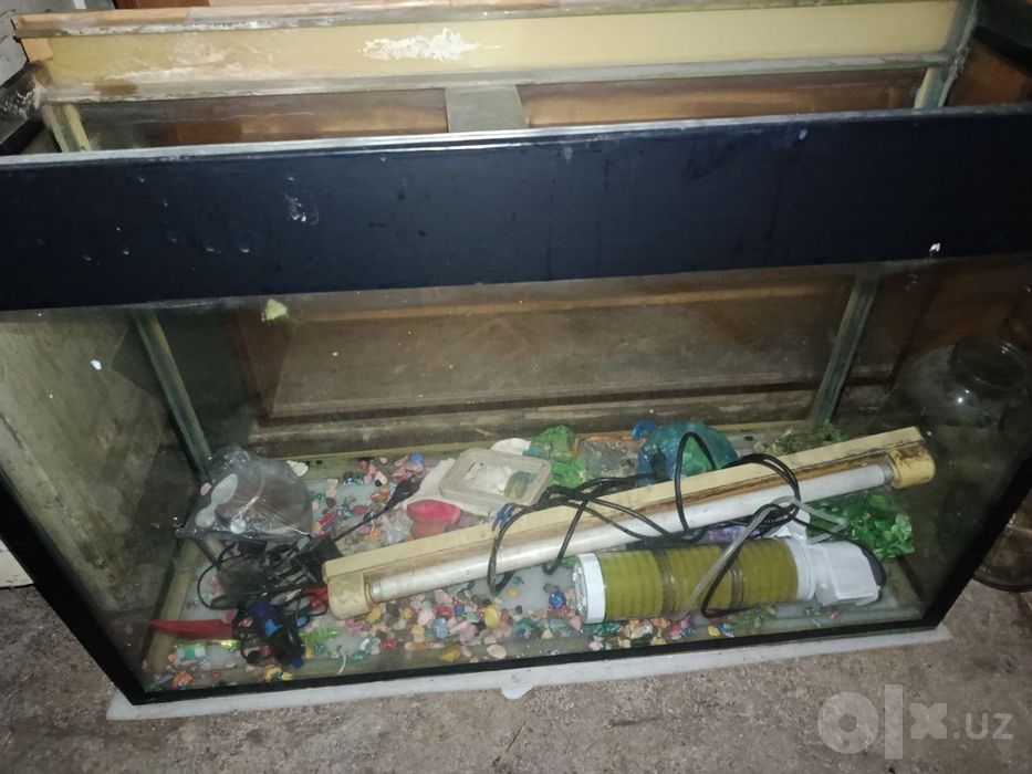 Аквариум со всеми удобствами