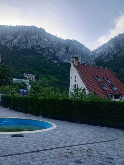 Echipa serioasa montam pavaj