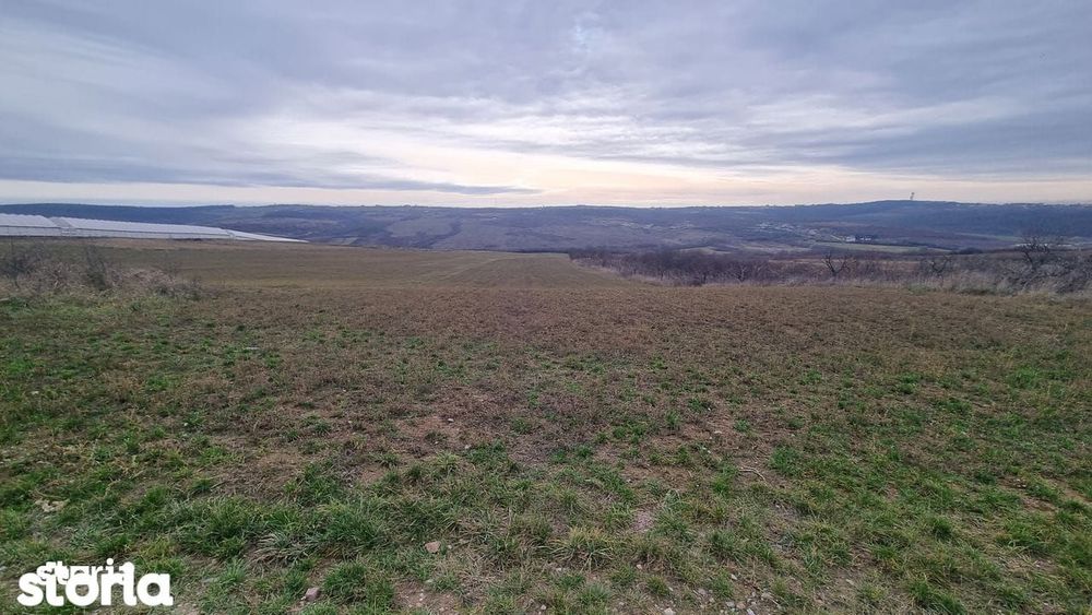 Teren de vânzare Paleu