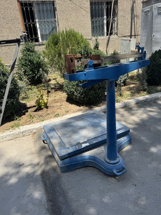 Torozi  500 kg sotiladi