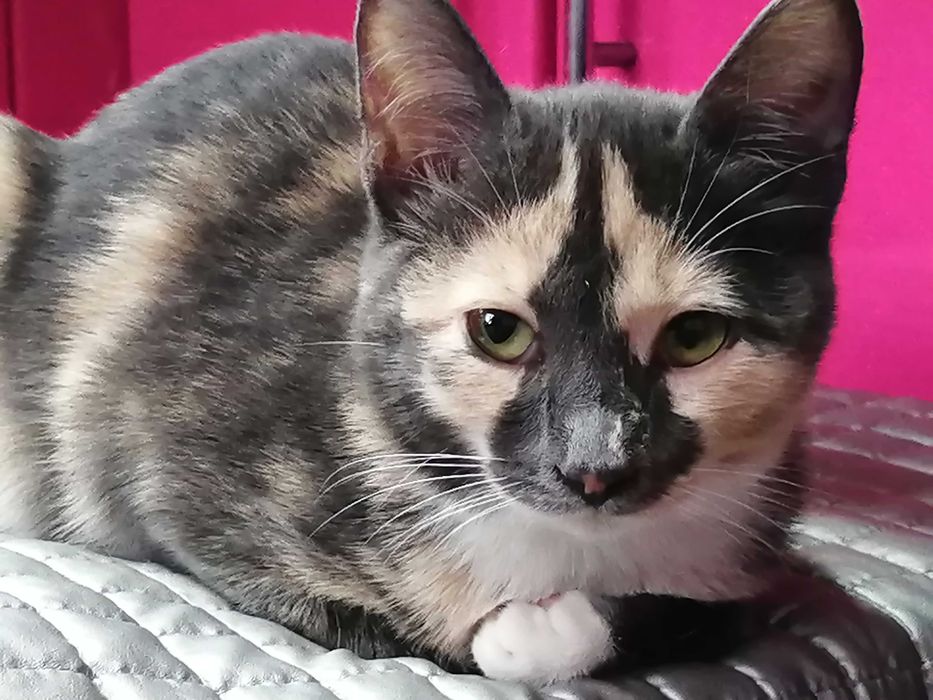 Бабочка, это её имя, уже 6 месяцев девочке.