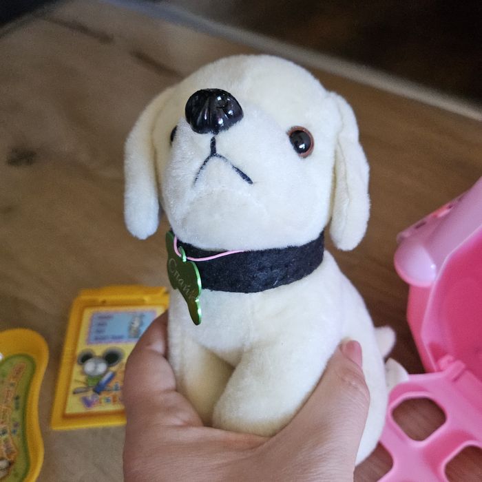 Кученце с чанта за транспорт, Ветеринар