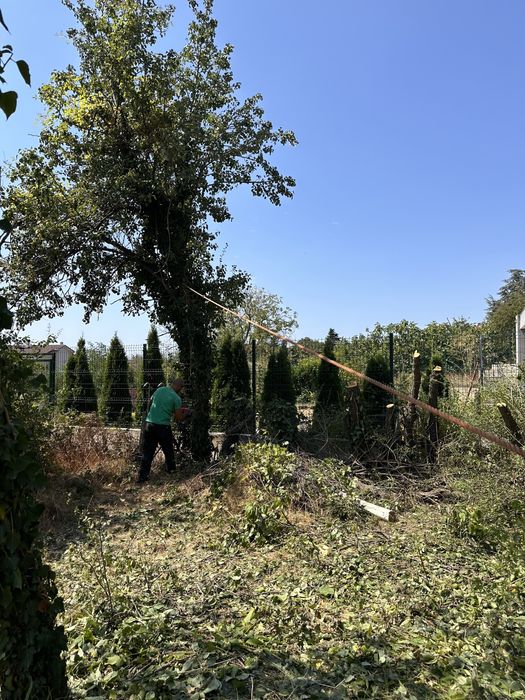 Рязане на дървета, санитарна сеч, дробене на клони, извозване