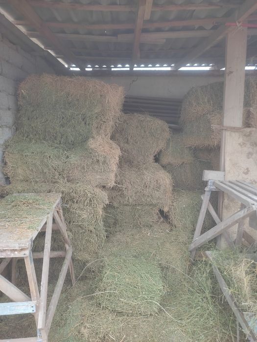 Жоңышқа пресс сатамын .жасыл құрғақ