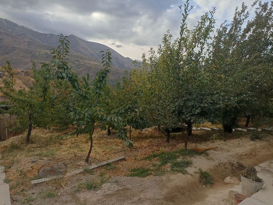 Uy sotiladi Toshkent viloyati Parkent