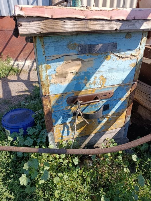Продам улья для пчел
