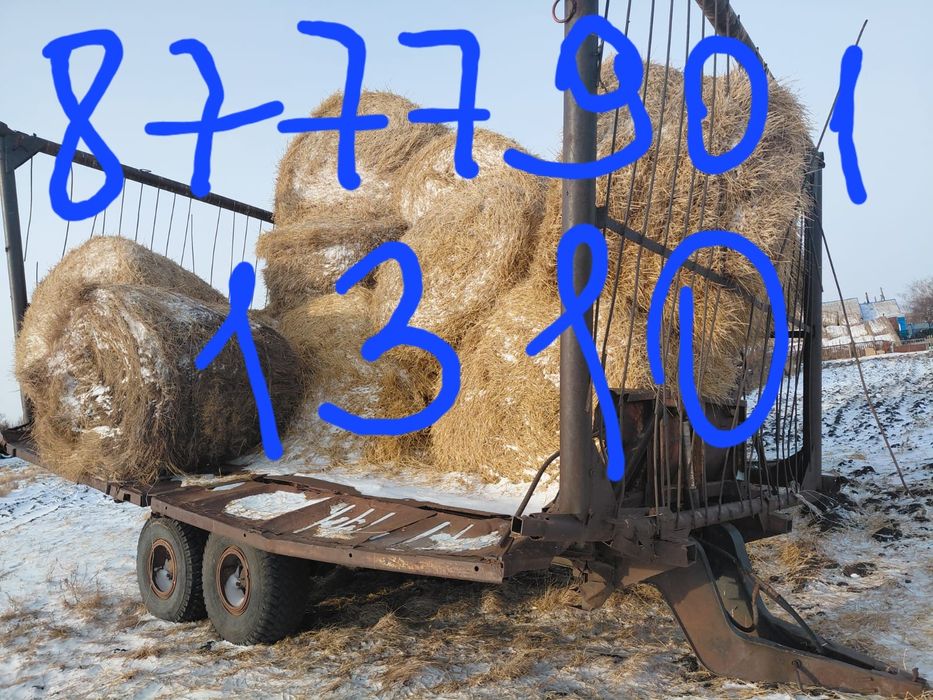 Телега ПТЭС  9 сеновозка