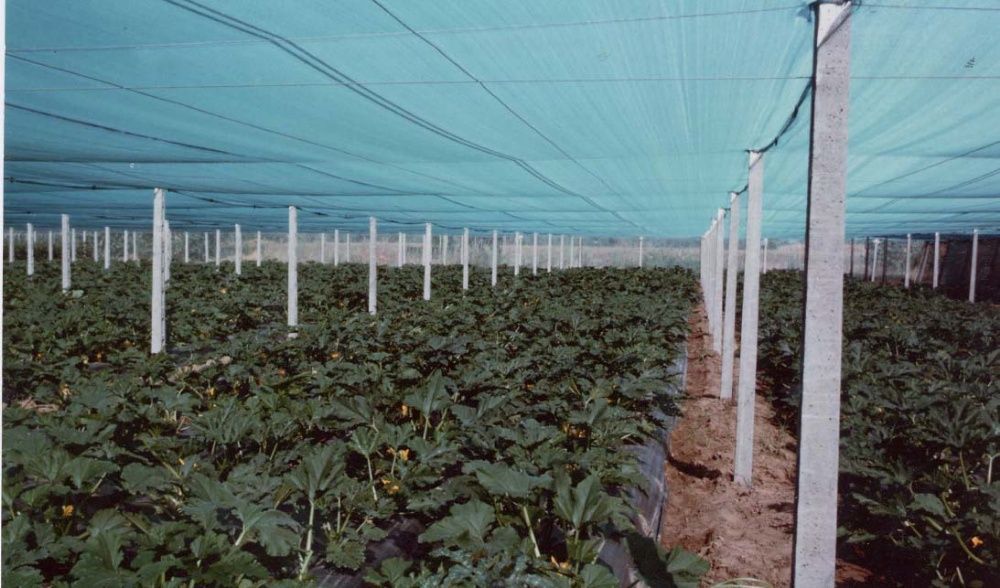 Plasa PROTECTIE CULTURI 30%=40%=50%UMBRIRE 6x25m=300lei, Aditivata