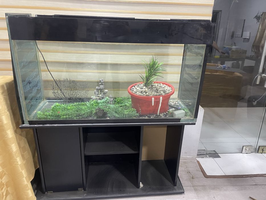 аквариум 300литрли