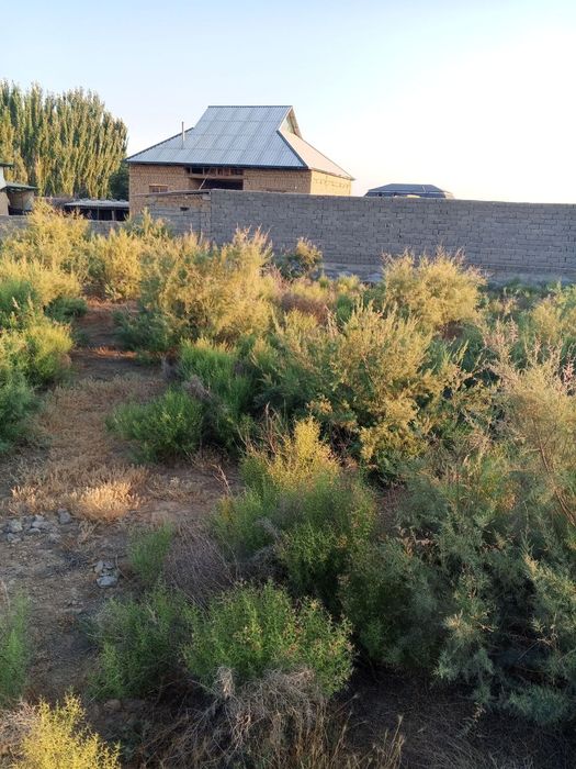 Qarshi tumani Yangibogda uchaska sotiladi