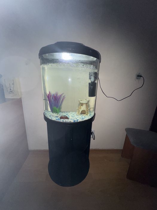 Аквариум великолепный!