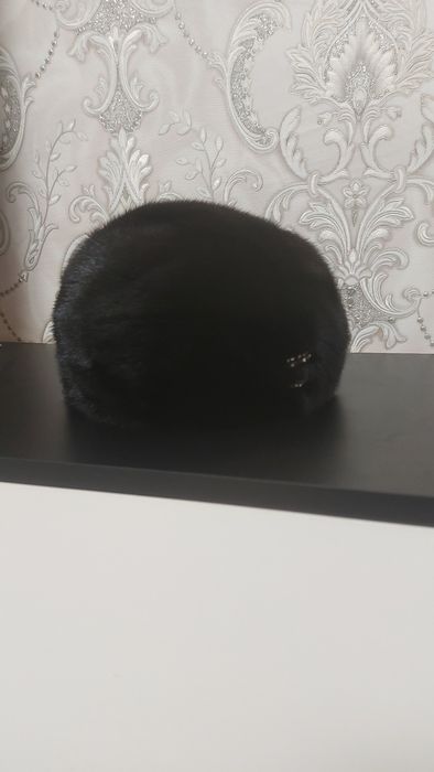 Продам шапку норковую