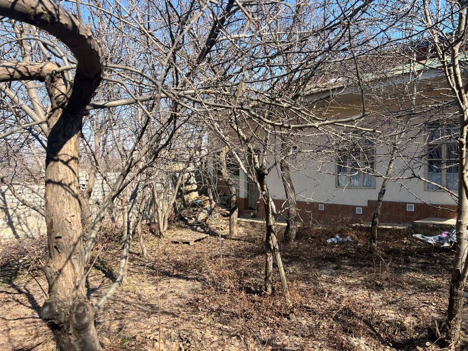 Дача 9 сот Бочка атрофида