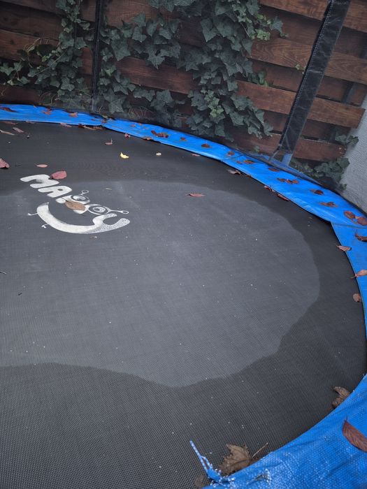 Vand trambulina Mappy 244 cm - Voluntari/Pipera