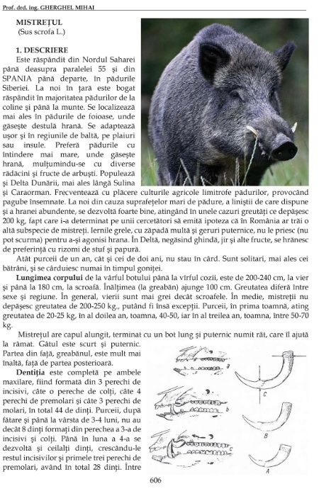 Cartea Pădurarului ediția 2016