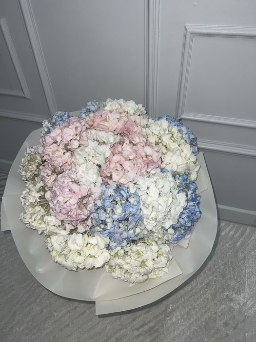 свежие гортензии …