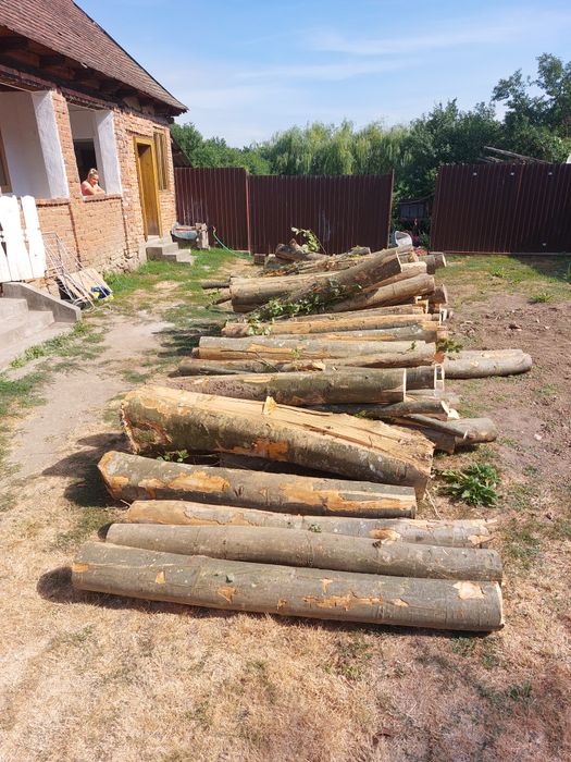 Duc la domiciliu  lemne de foc