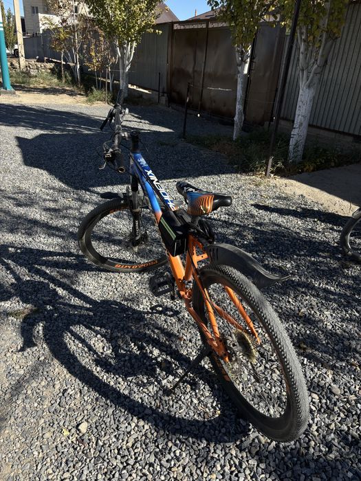 Велосипед PHOENIX