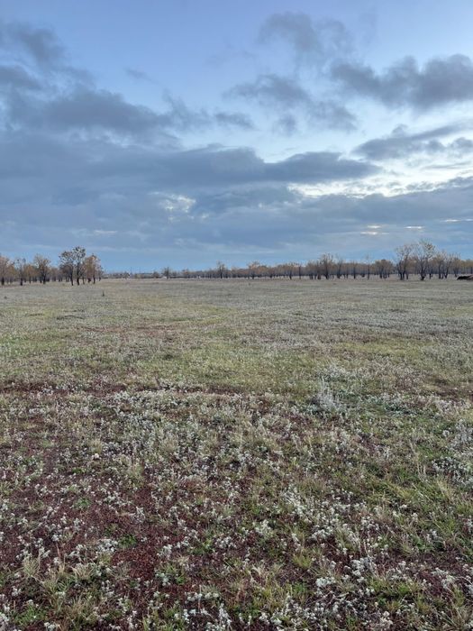 Земельный участок