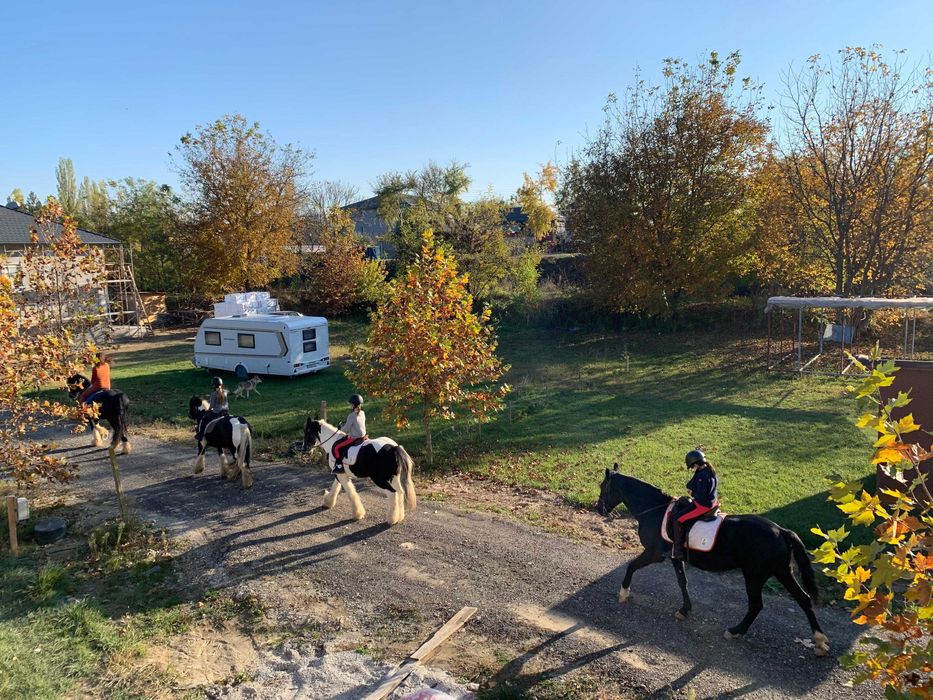 Teren de vanzare 600mp sau 1200mp parc Satul Olandez com Joita