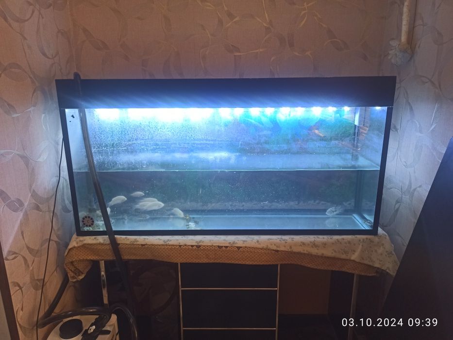 Продается аквариум