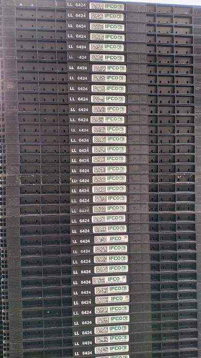 Lăzi pliabile 60x40