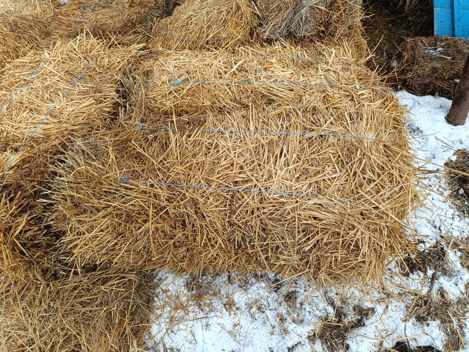 Vând baloți paie și ciocani