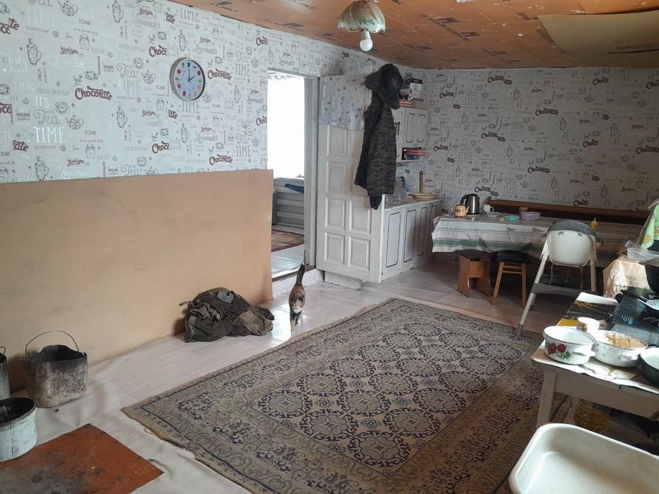 Продам дом село Дмитриевка