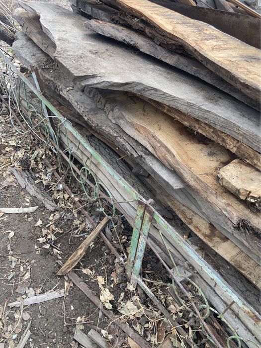 Распиленный  дуб