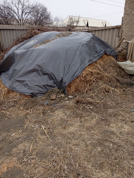 Мол авкоти ут хашак