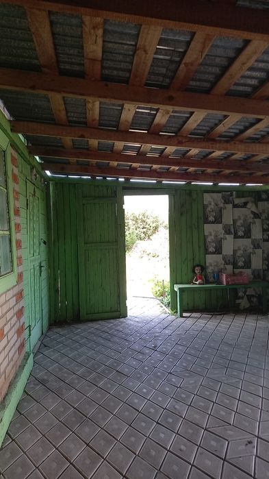 Продам дачу Элеваторщик