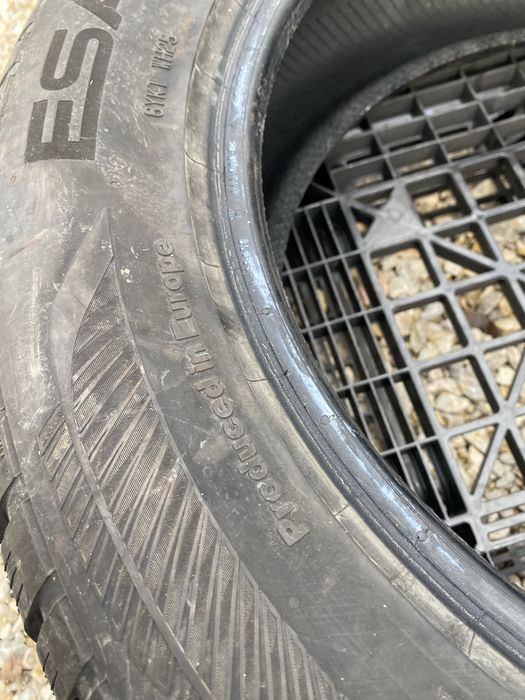 215/60/17 Esa Зимни