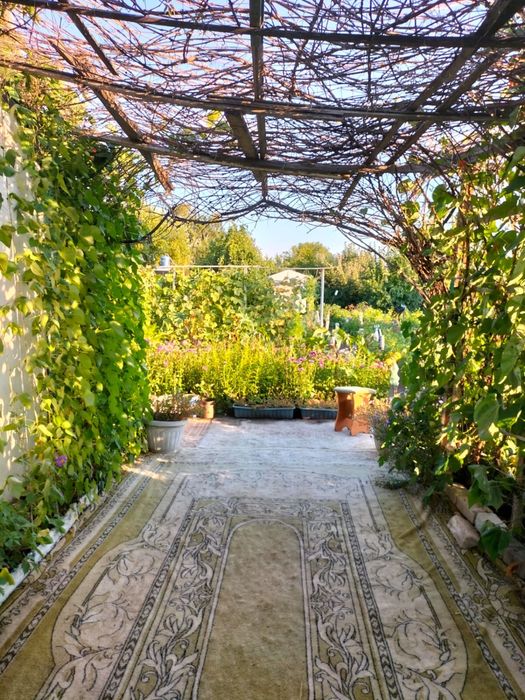 Продам дачу на Беловке