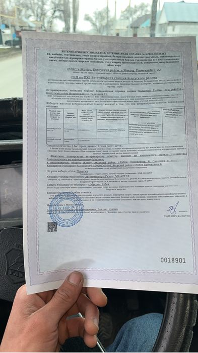 Земельный участок