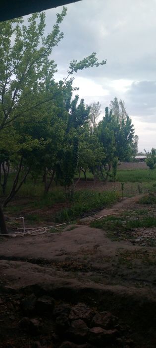 20 сотохли 2 каватли ховли сотилади