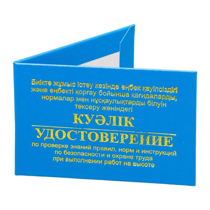 Обучение по ТБ, БиОТ, Промбез, Электробезопасности, ПТМ