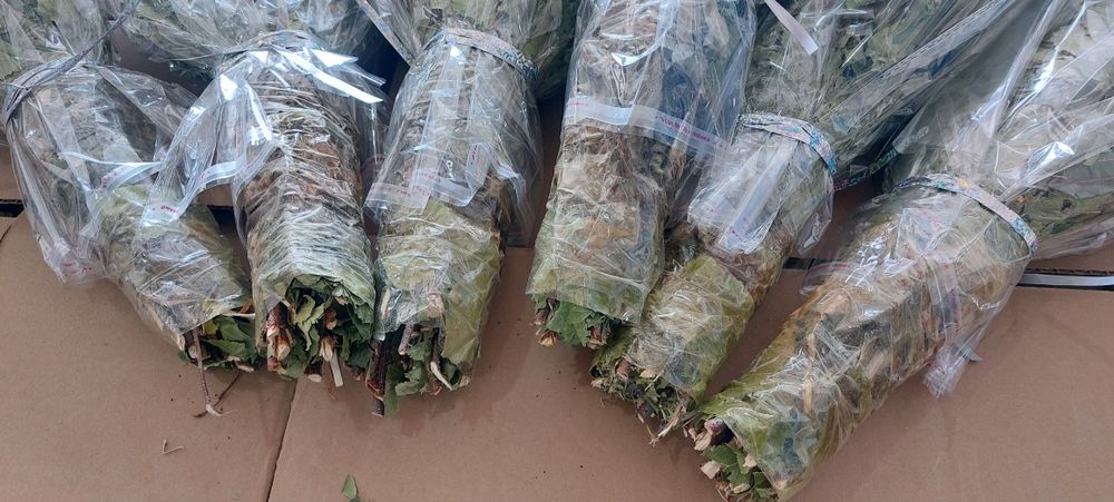 Берёзовые веники