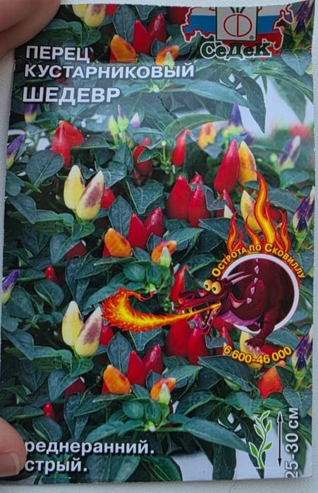 Комнатные карликовые перчики
